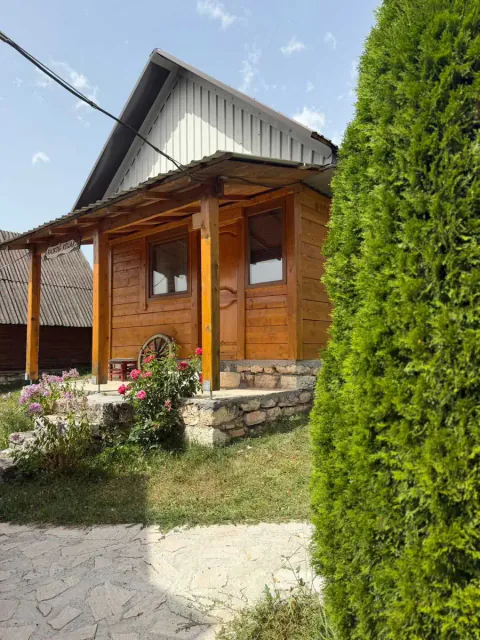 Ruže ispred Rajkovog konaka